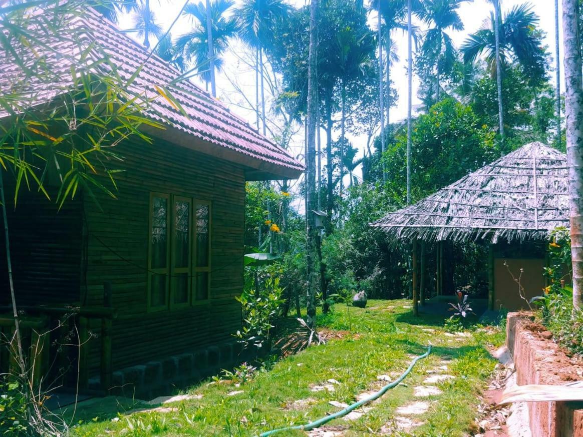 Misty Mornings Resort Ambalavayal 외부 사진